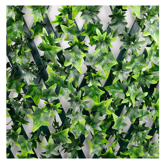Cortina UV Ivy PG817648