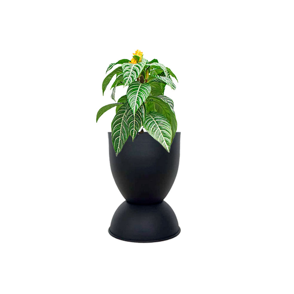 Matera Copa Small 20cmD X 29cmH