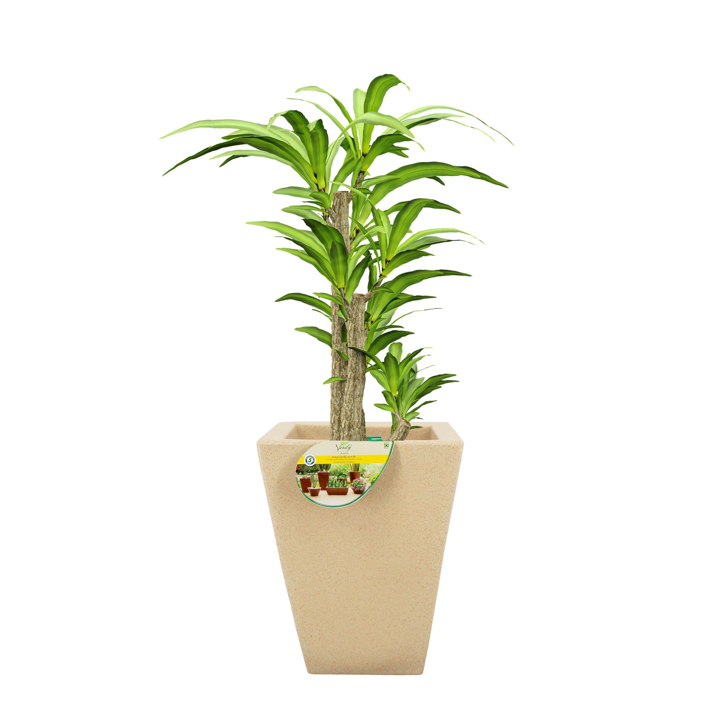 Matera Trapecio Joinville Lisa Efecto Granito NEW COLLECTION