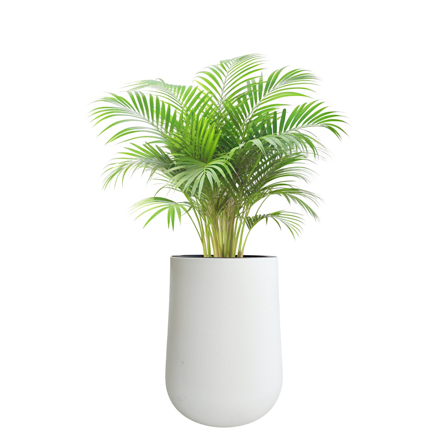 Matera Autoriego Tipo Gota Plástico CS-02