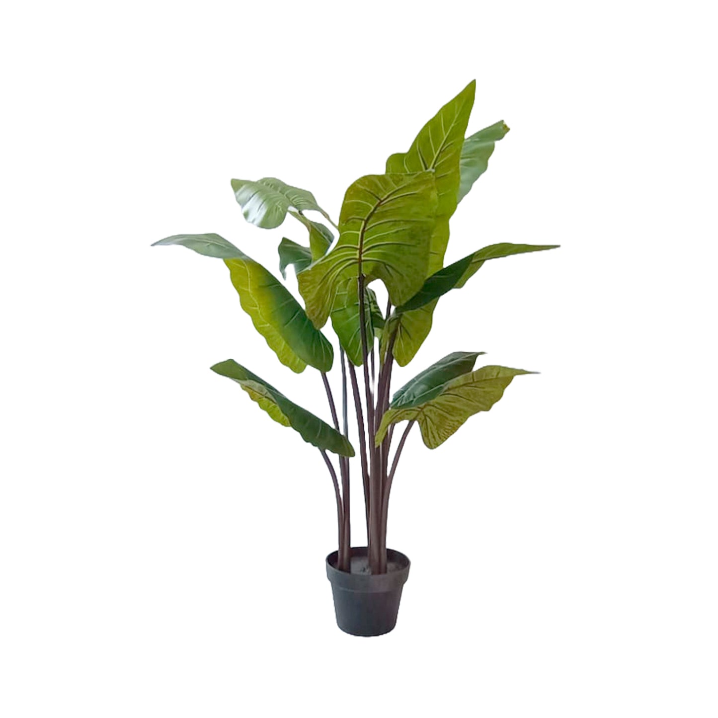 Planta Artificial Mafafa 1,26 MTS RC8000
