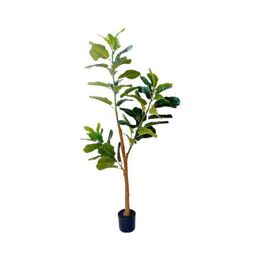 Planta Artificial Pandurata # 1 1.60 Matera RCP601