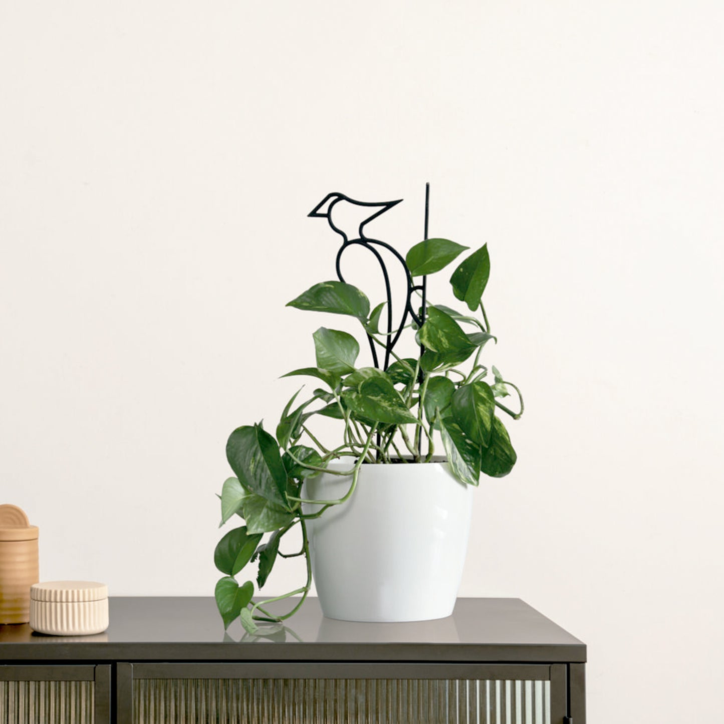 Soporte Para Plantas Birds