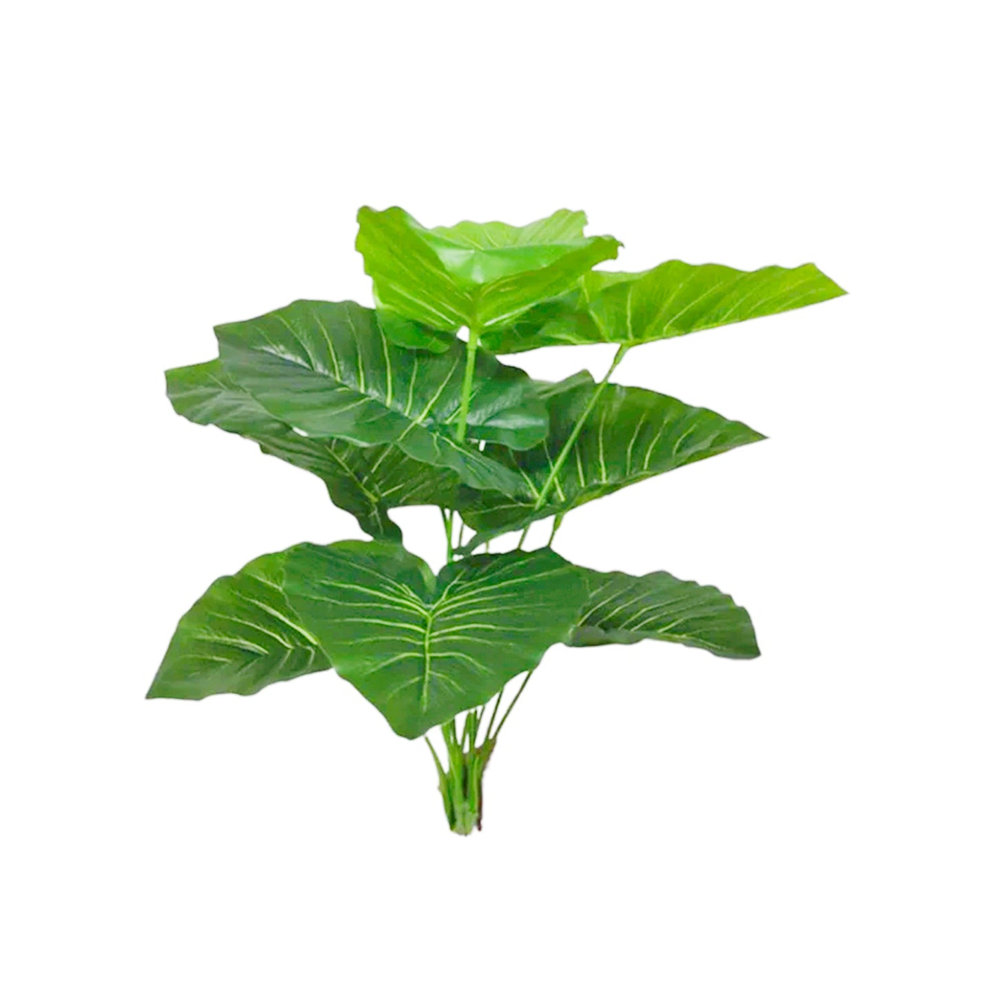 Planta Artificial Alocasia Wentii RC2215