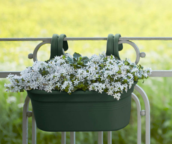 1Green-Basic-Easy-Hanger-Largue-26Cm-Leaf-Green