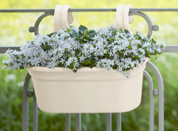 1Matera-Green-Basic-Easy-Hanger-Largue-26Cm-Cotton-White