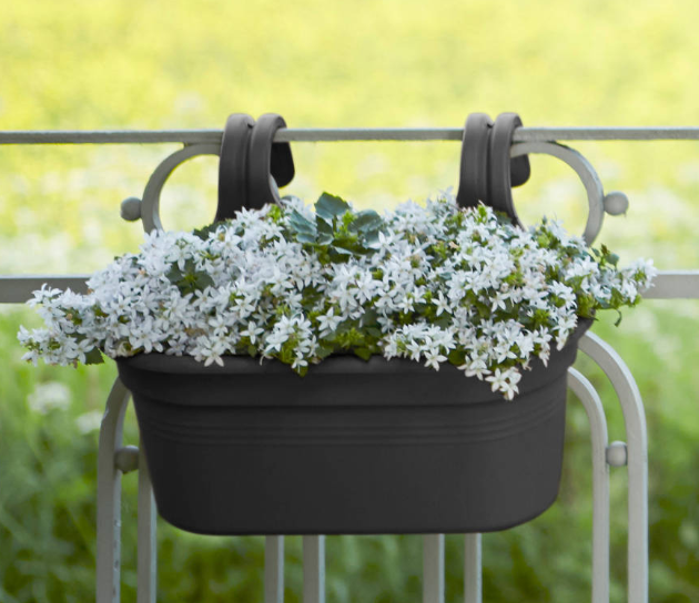 2Matera-Green-Basic-Easy-Hanger-Largue-26Cm-Living-Black