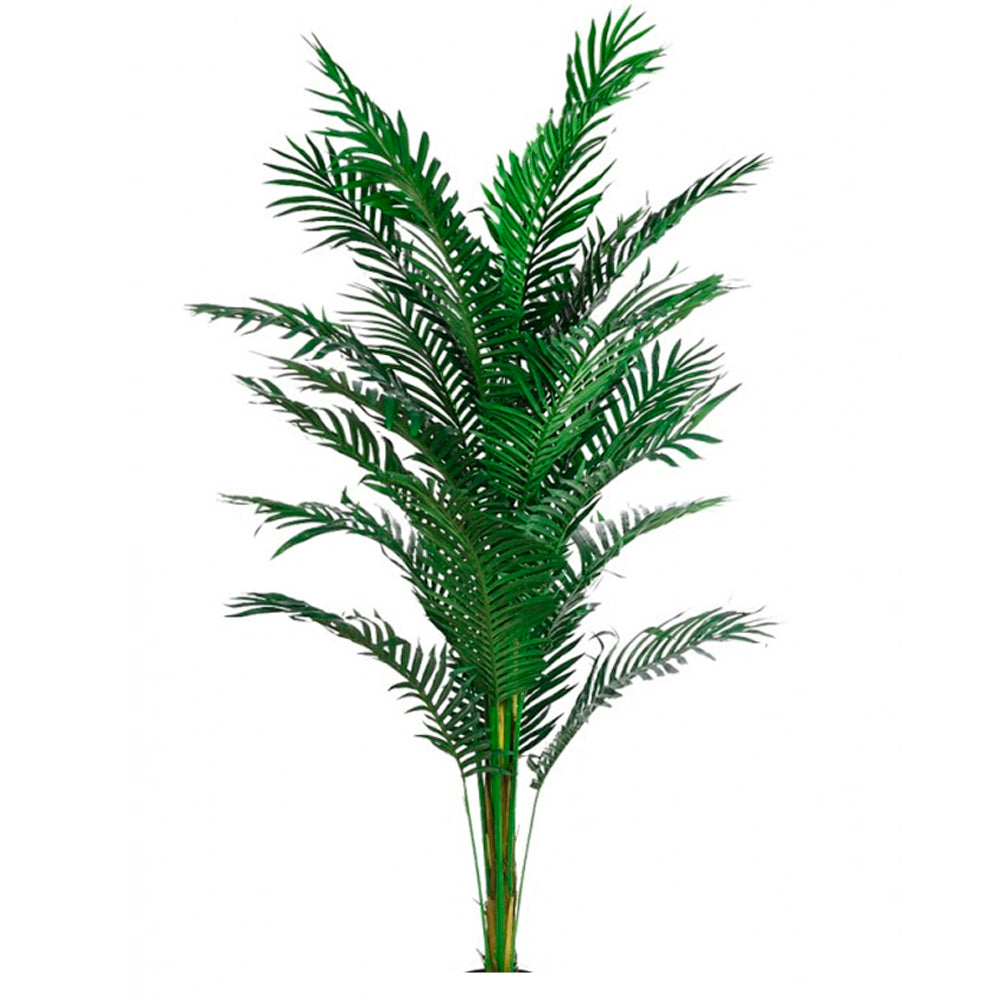 ARECA-ARTIFICIAL-170--CM