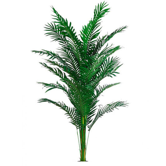 ARECA-ARTIFICIAL-170--CM