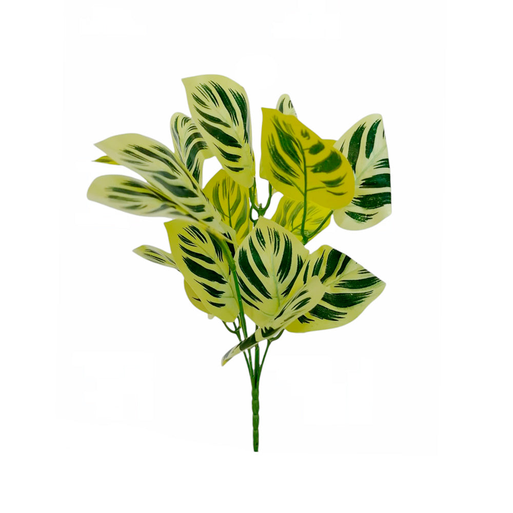 CALATEA-YELLOW-RF-0461-6