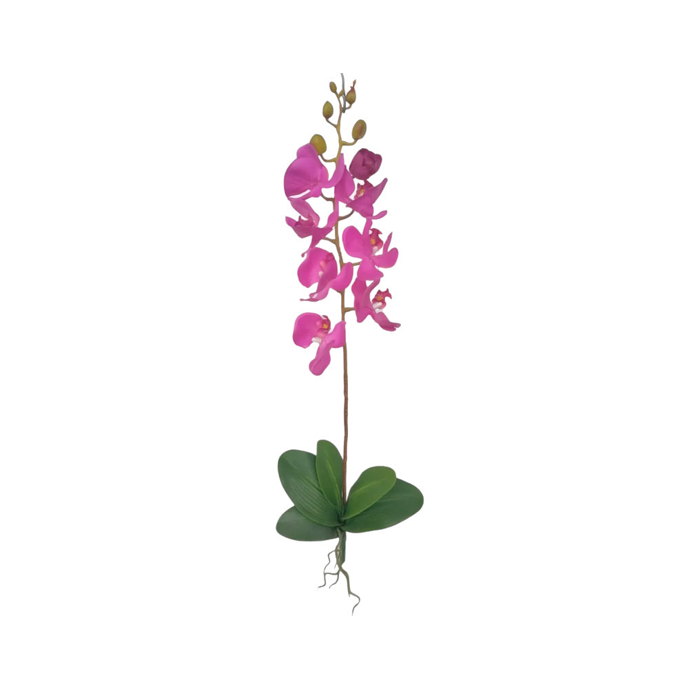 COMBO-ORQUIDEA-8-VARAS-FUCSIA