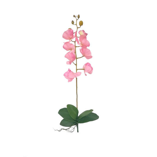 COMBO-ORQUIDEA-8-VARAS-ROSADA