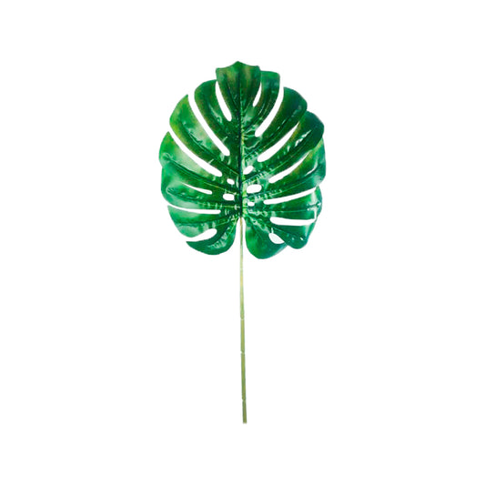 HOJA-MONSTERA