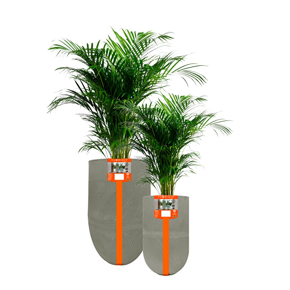 MATERA-VASO-ARGOS-36X71-IMPIRACIONAL-COD4280