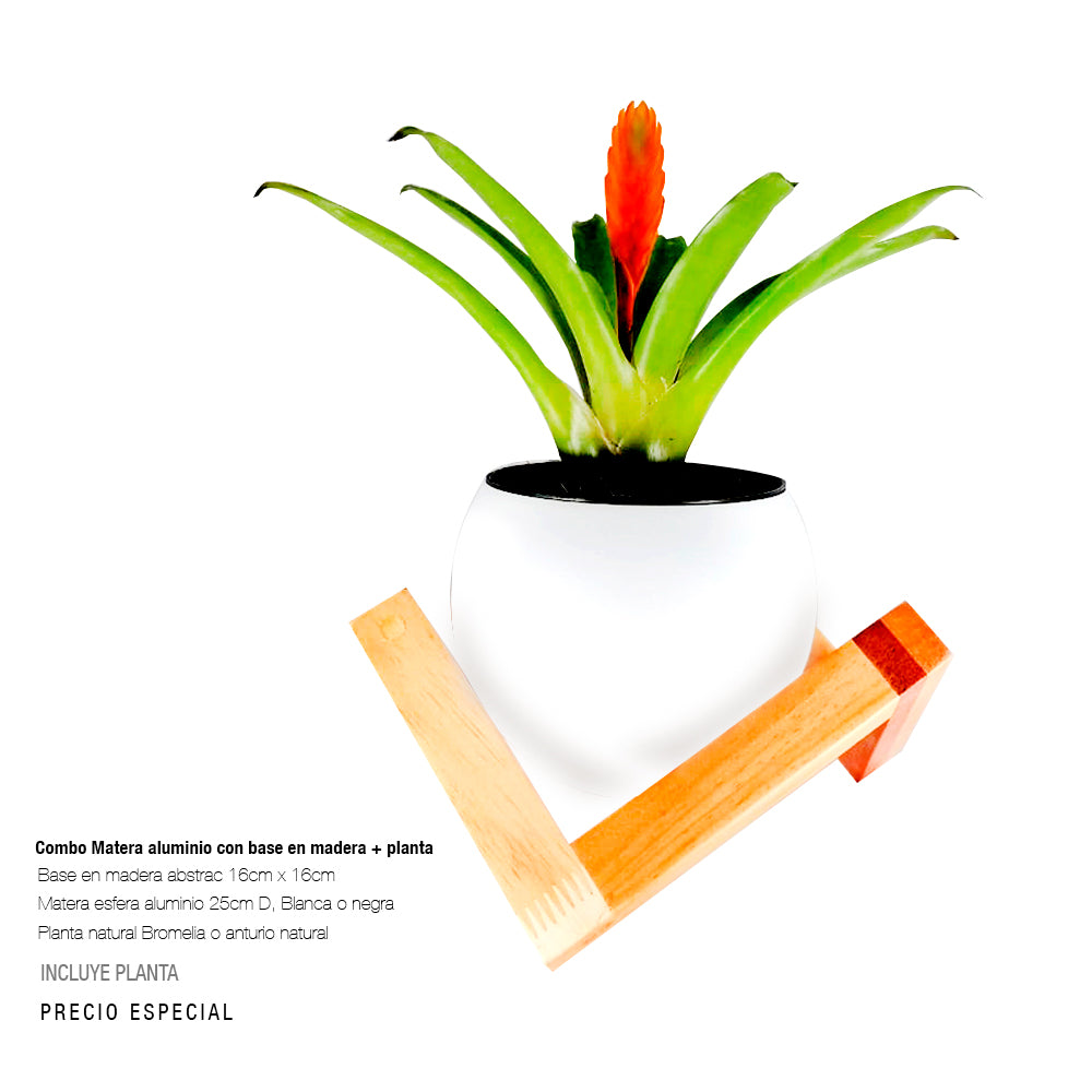 PROMO-abstrac-CON-planta-natural-web