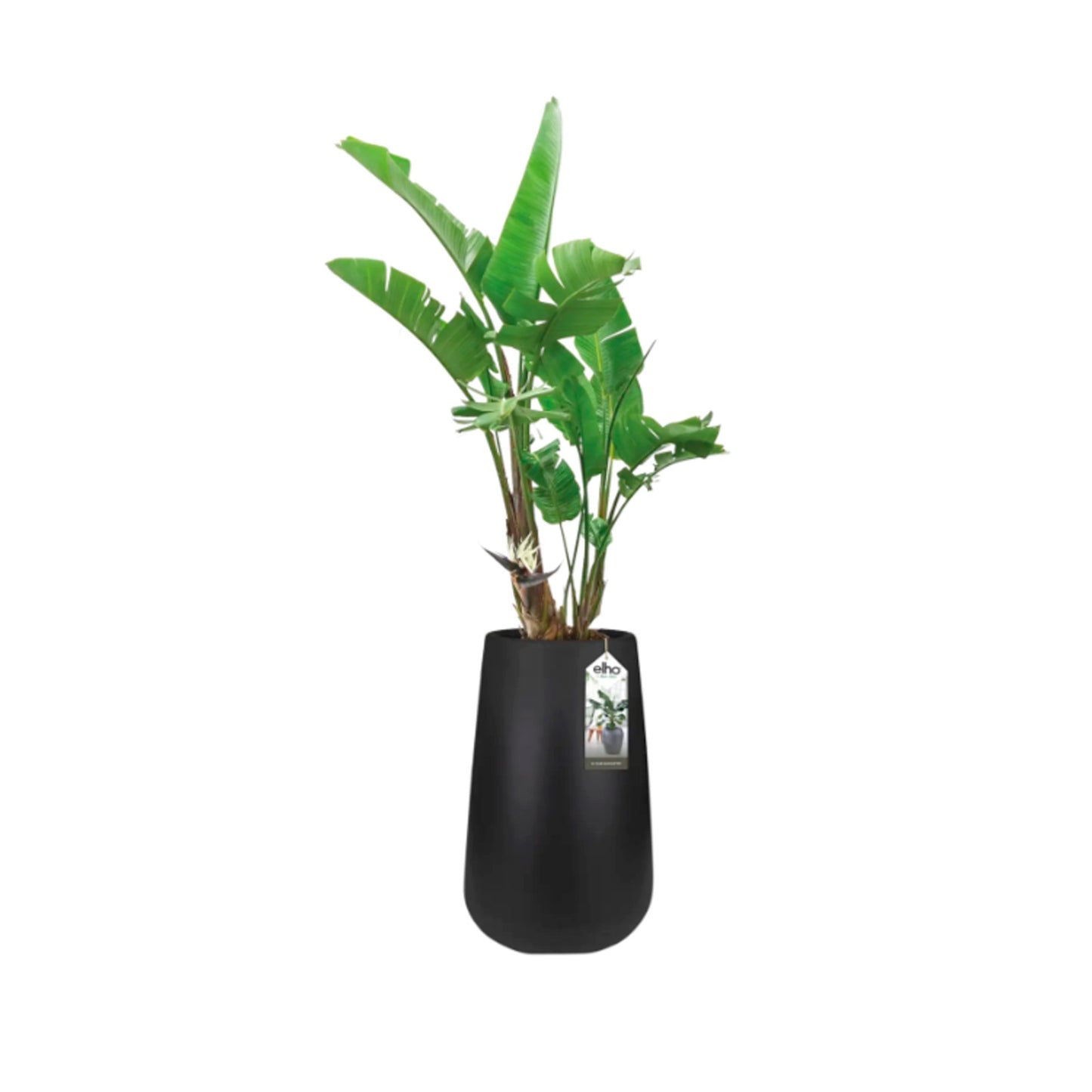 PURE-CONE-HIGH-55-BLACK-02