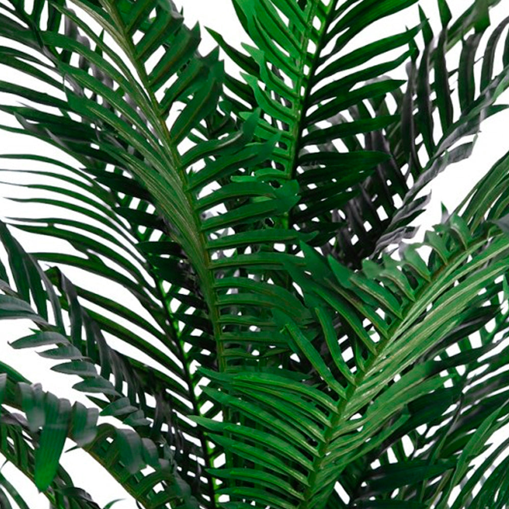 Palma-Areca-Hojas