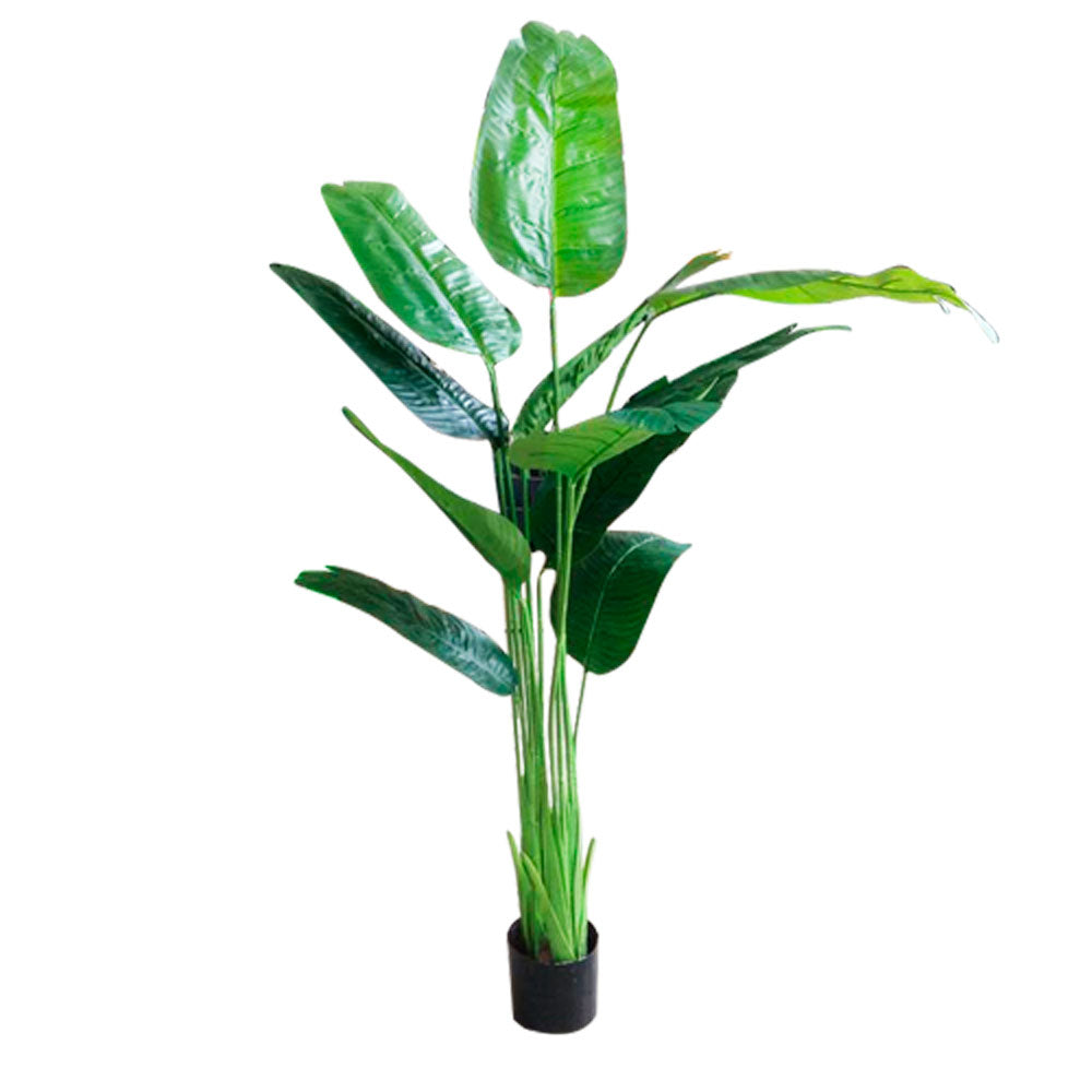 Planta-Artificial-Platanera