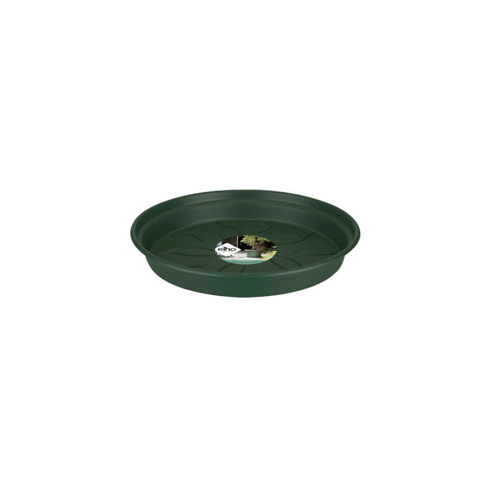 Plato-Base-22-cm-Leaf-green