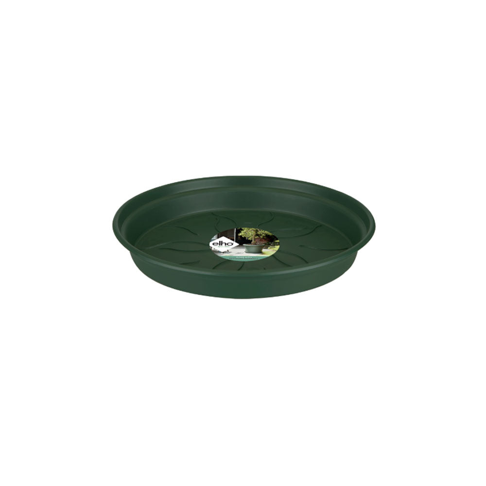 Plato-Base-25-cm-Leaf-green