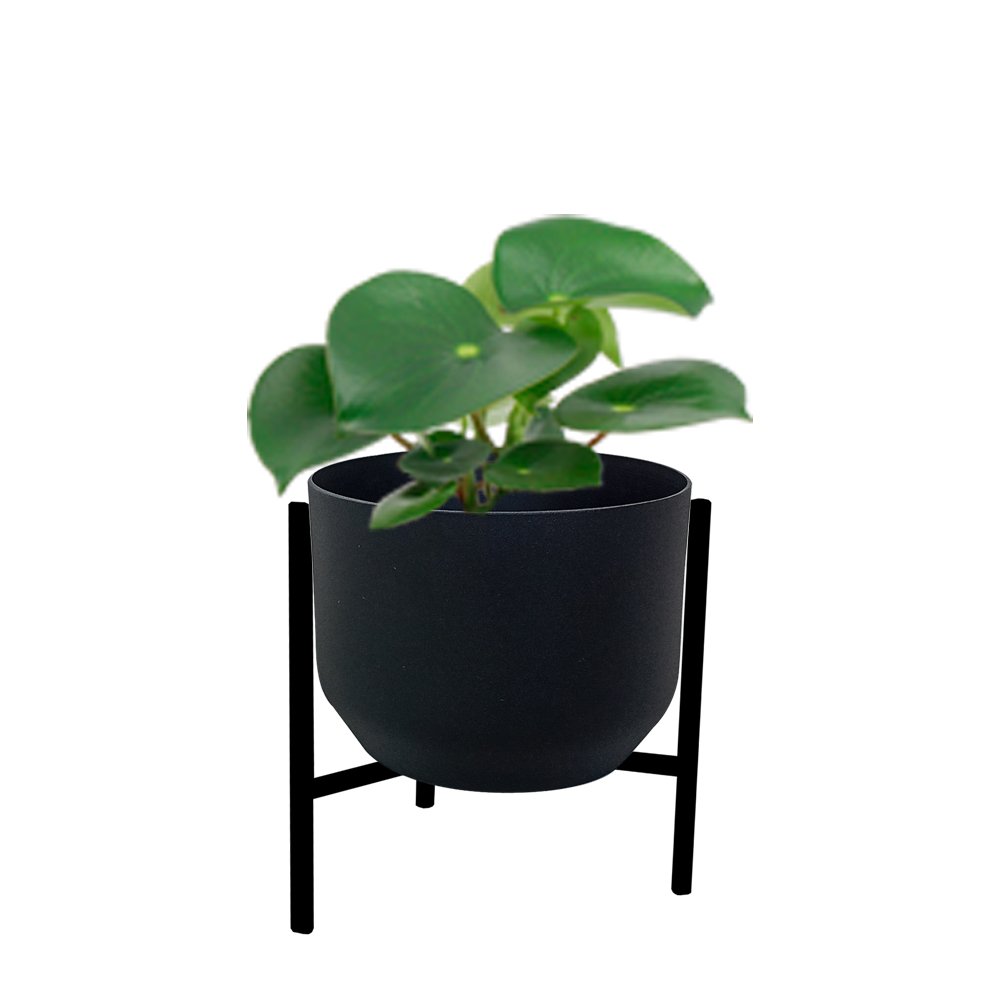 SOPORTE-ASIA-INSPIRACIONAL