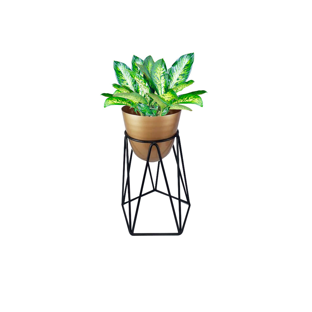 SOPORTE-DIAMONT-40-NEGRO-ORO_1