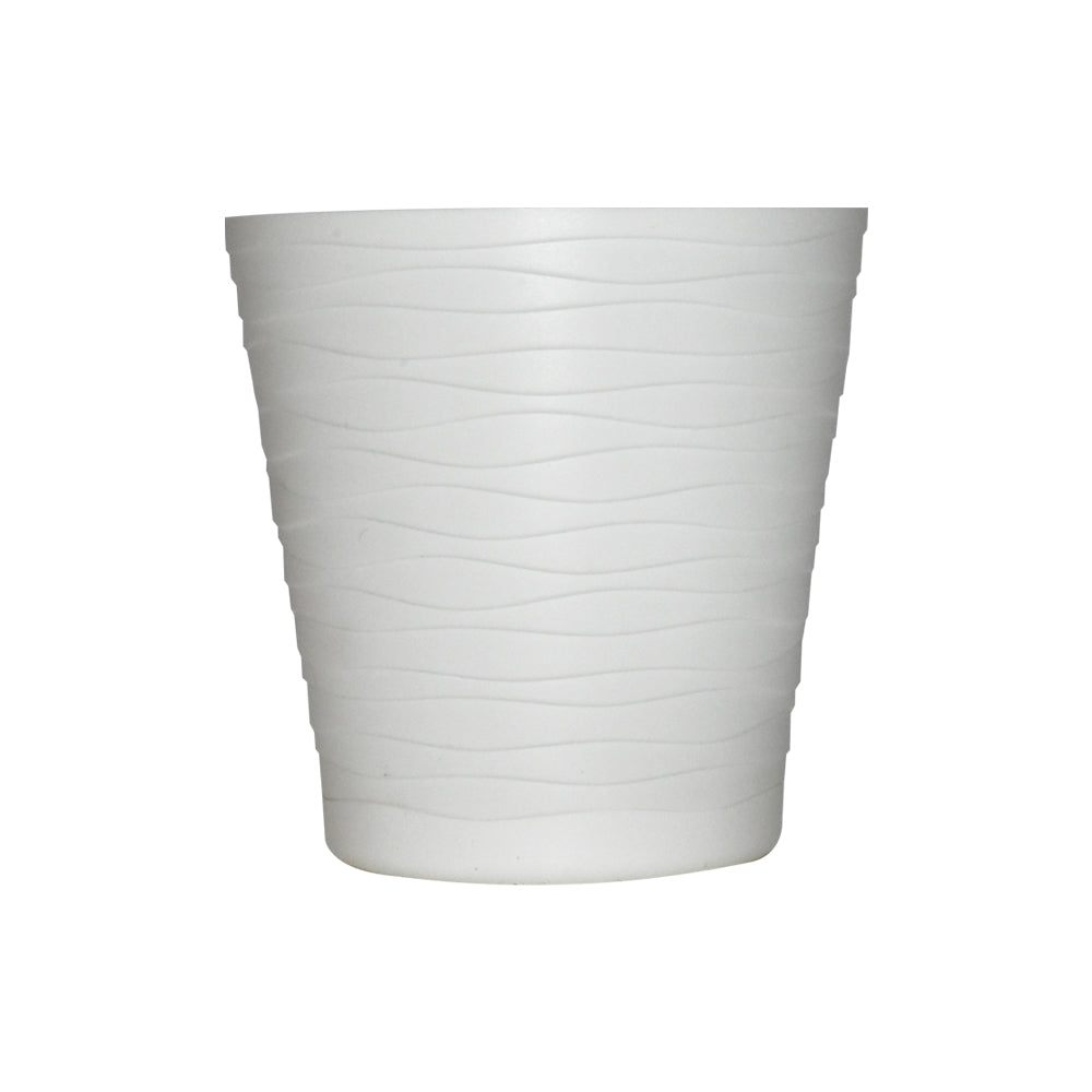 Tedy-Blanca-15x15