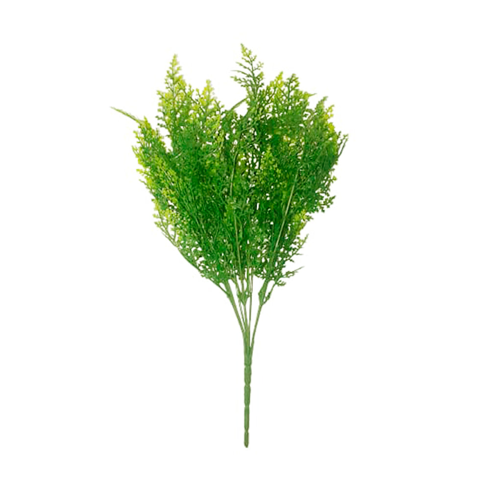 follaje-color-sd-12-12