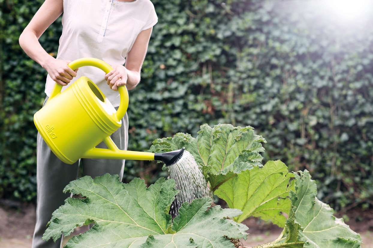 green basics watering can.i2