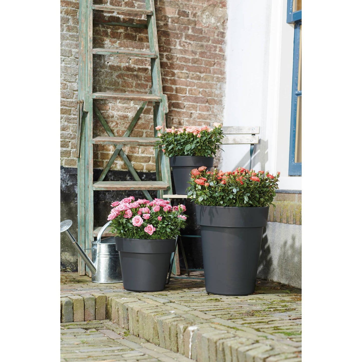 green+basics+top+planter+high.i1