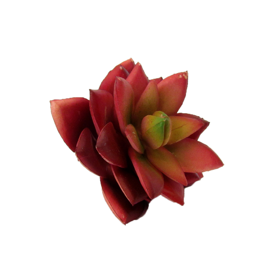 julian-link-744584-unsplash.jpg