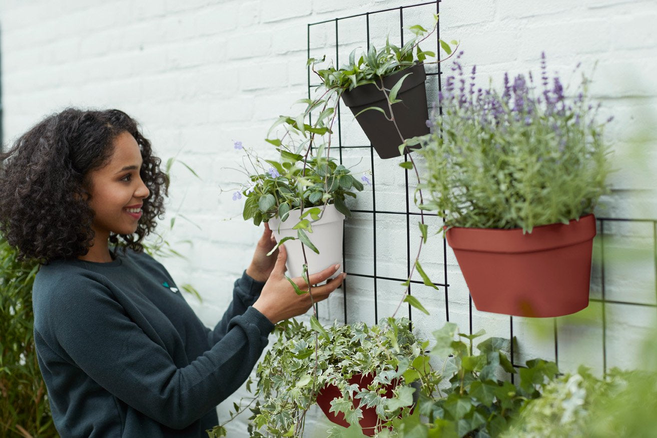 loft urban green wall rack.i6 (1)