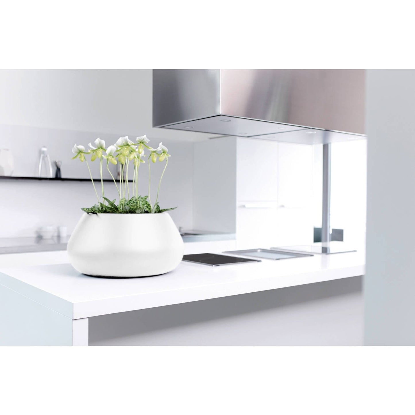 pure+cone+schaal+white.i1