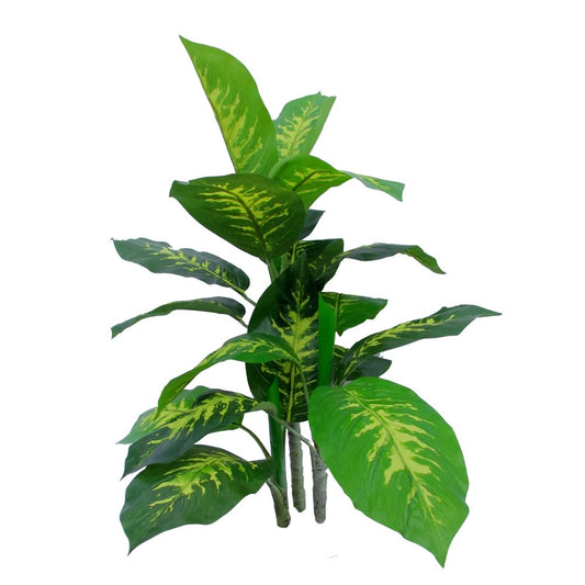variegada