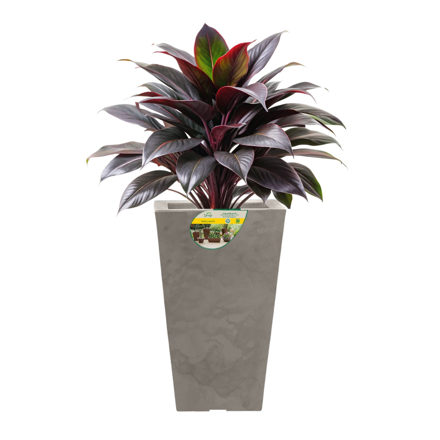 Matera Trapecio Joinville Lisa NEW COLLECTION