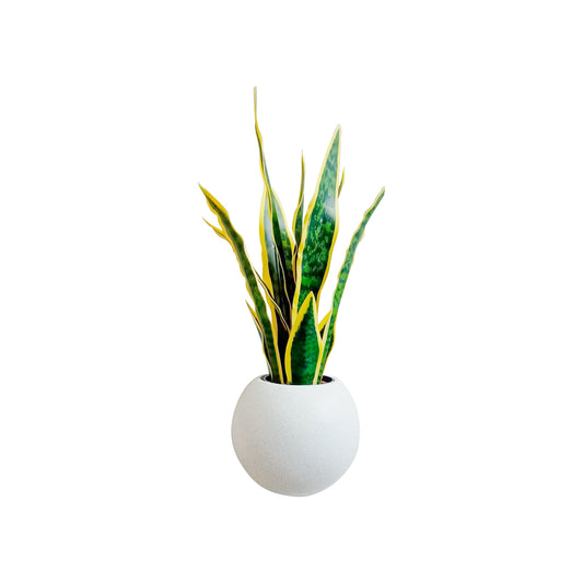 Arreglo Artificial Sansevieria.