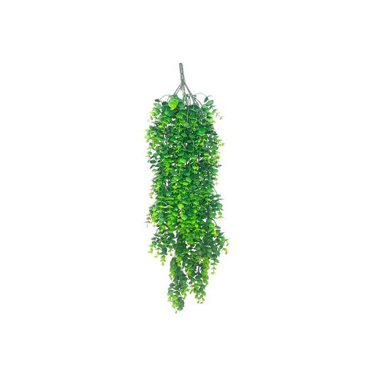 BUSH UV BC009YG