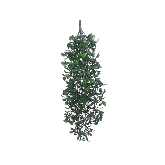 BUSH UV BC029DG