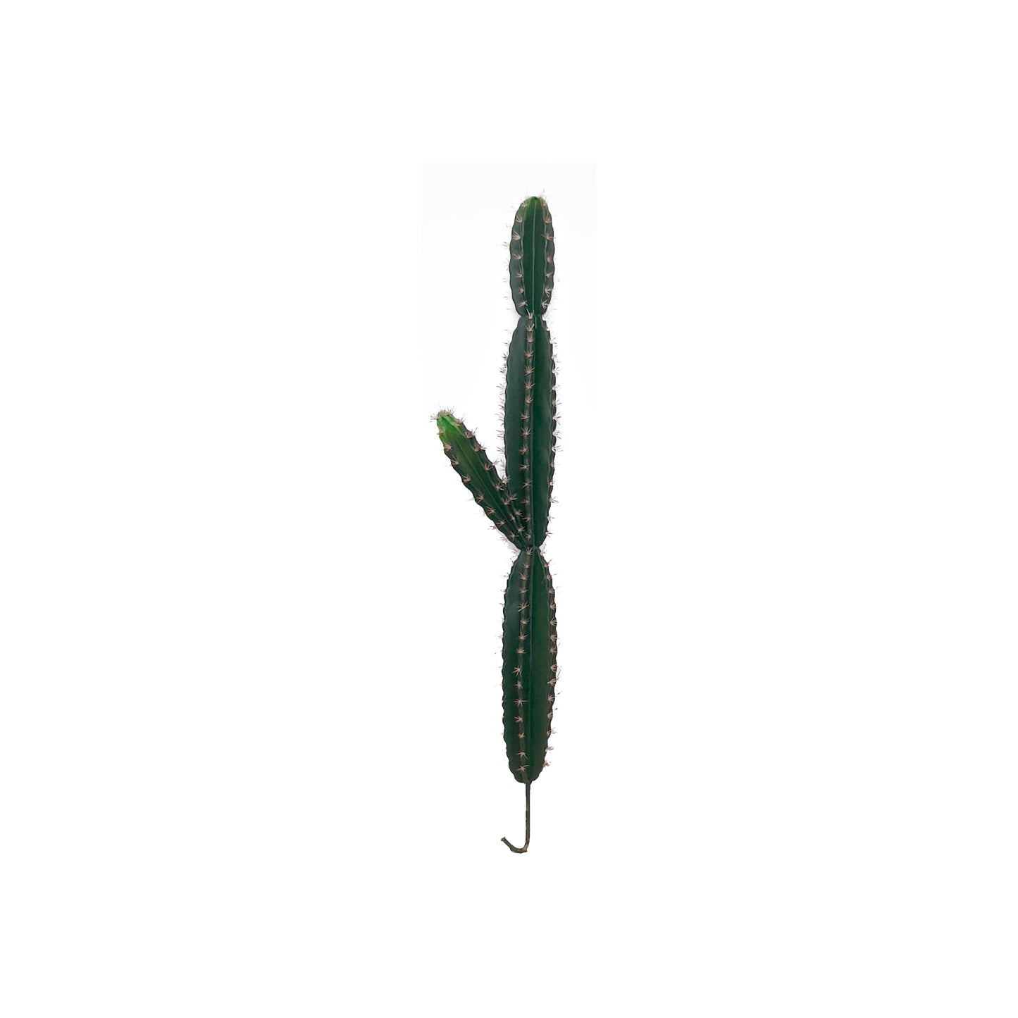 Cactus Artificial YW118 1.35 MTS