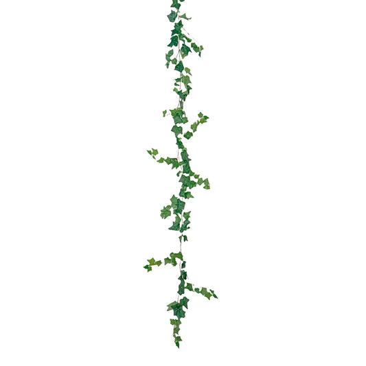 Enredadera 2 MTS-RC5001