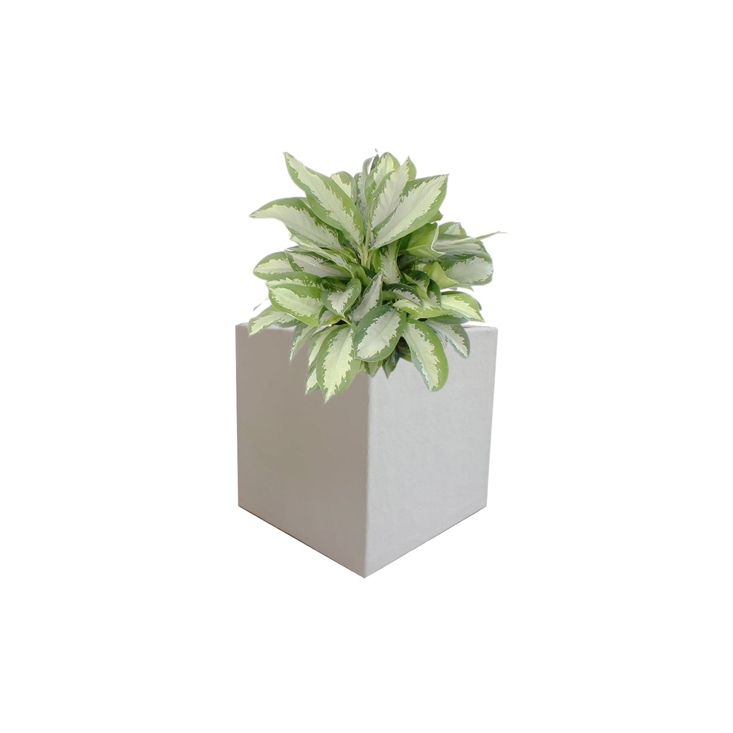 Cubo Concreto Ultra Liviano 30*30*30