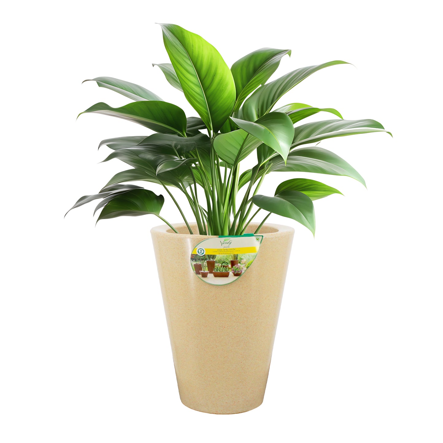 Matera Cone Joinville Liso  NEW COLLECTION