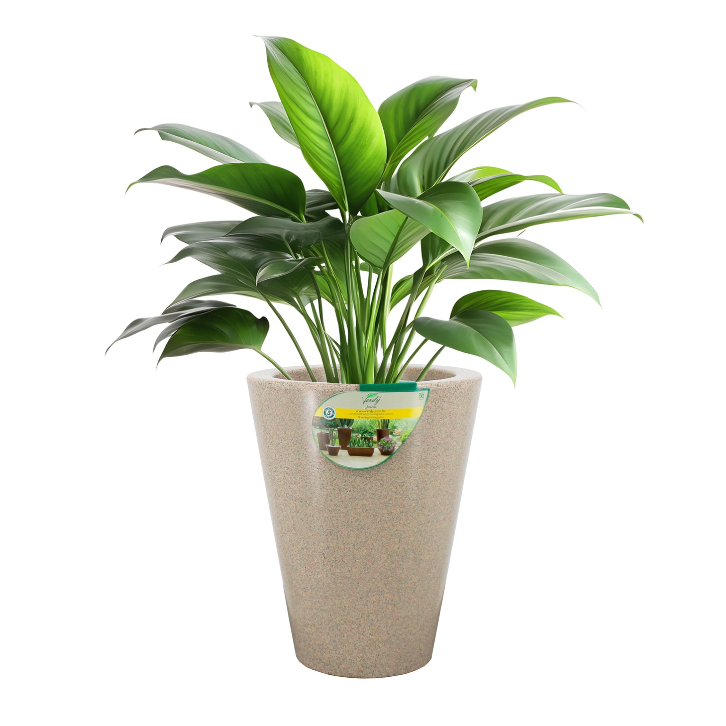 Matera Cone Joinville Liso  NEW COLLECTION