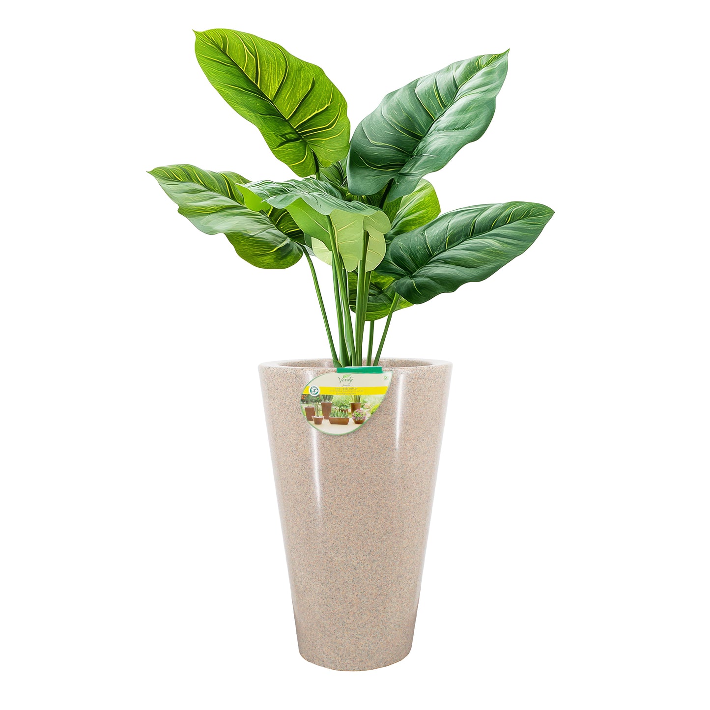 Matera Cone Medium Joinville Liso  NEW COLLECTION