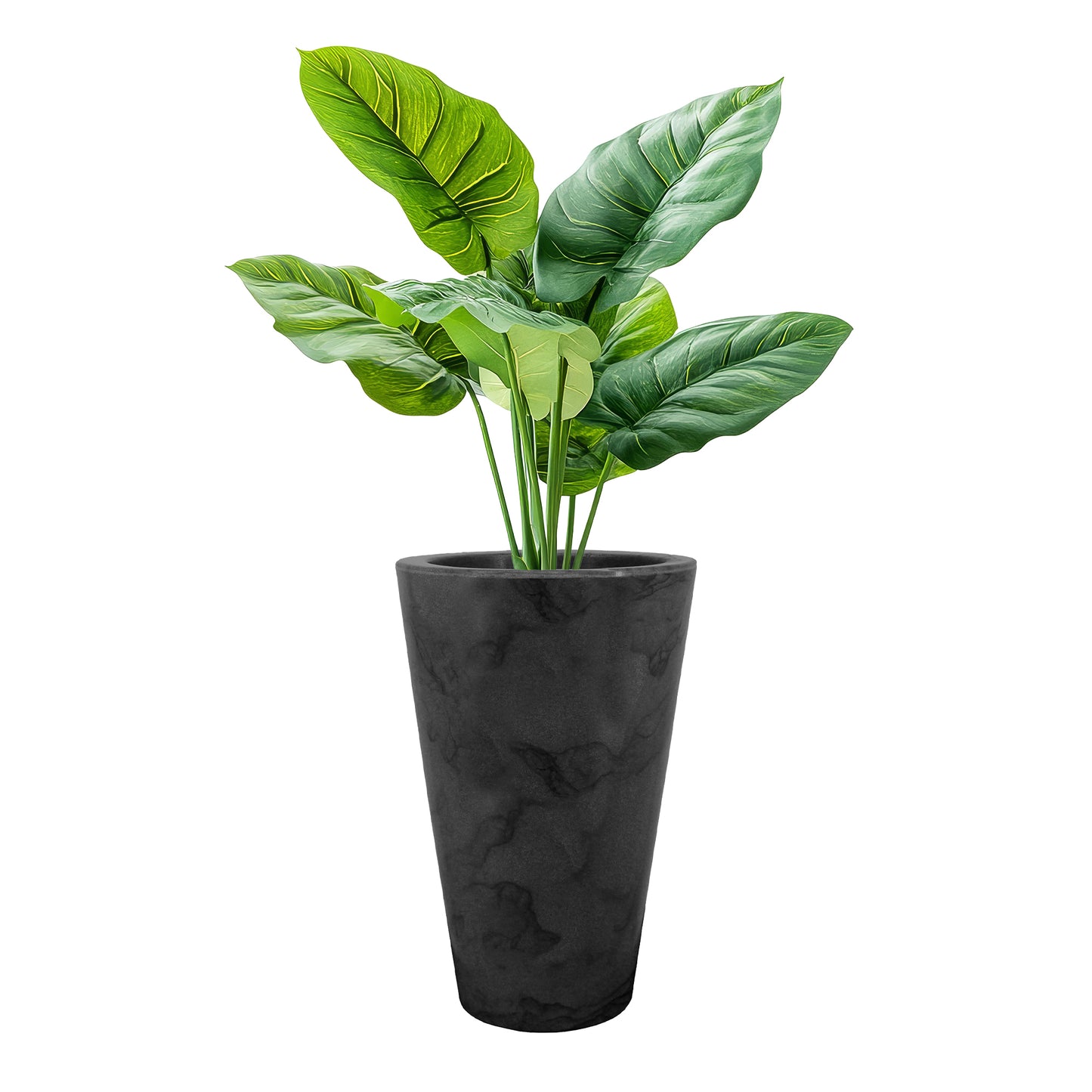 Matera Cone Medium Joinville Liso  NEW COLLECTION