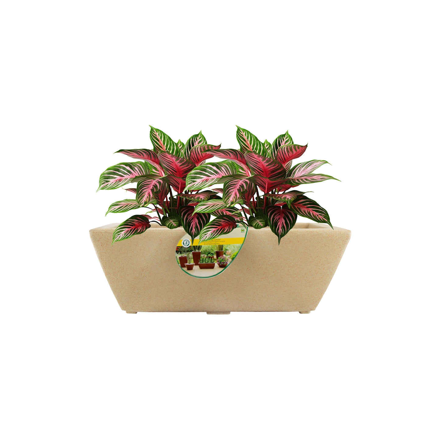 Matera Jardinera Joinville Lisa NEW COLLECTION