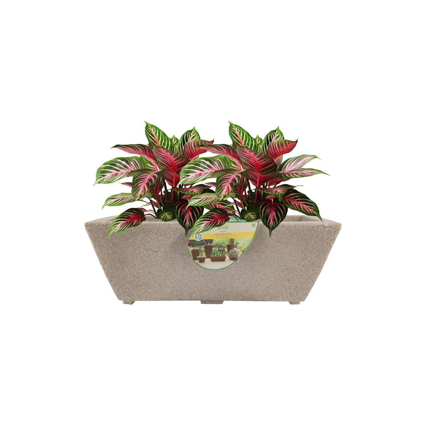 Matera Jardinera Joinville Lisa NEW COLLECTION