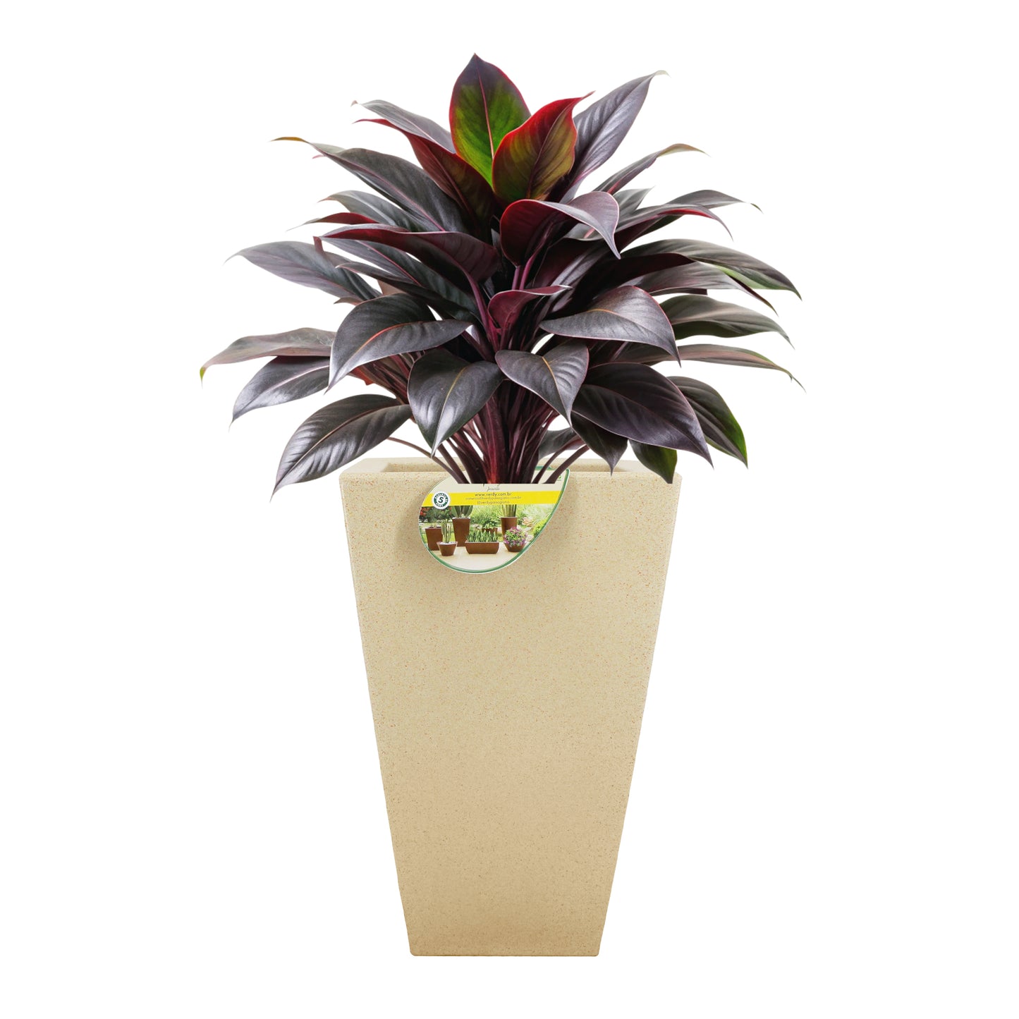 Matera Trapecio Joinville Lisa NEW COLLECTION