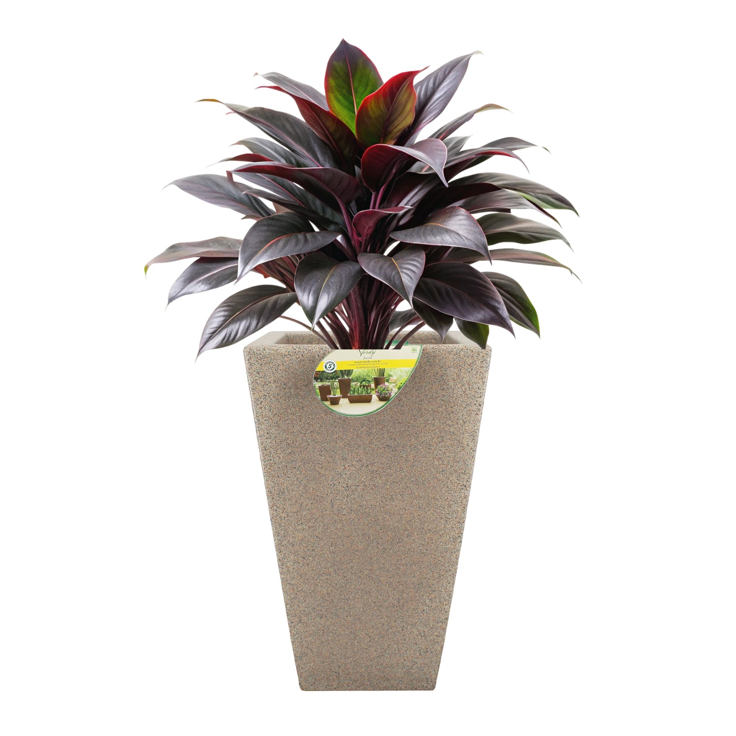 Matera Trapecio Joinville Lisa NEW COLLECTION