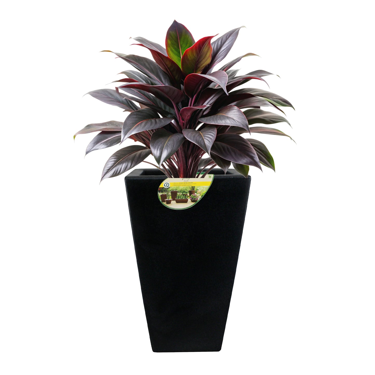 Matera Trapecio Joinville Lisa NEW COLLECTION